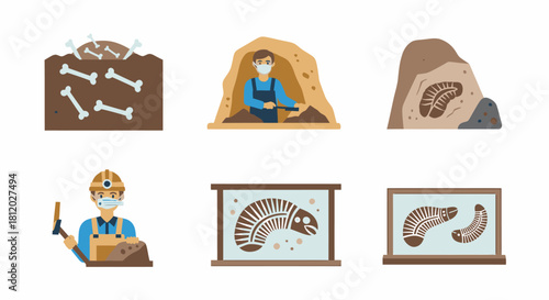 Illustrations depicting the process of paleontology, including excavation and fossil display.