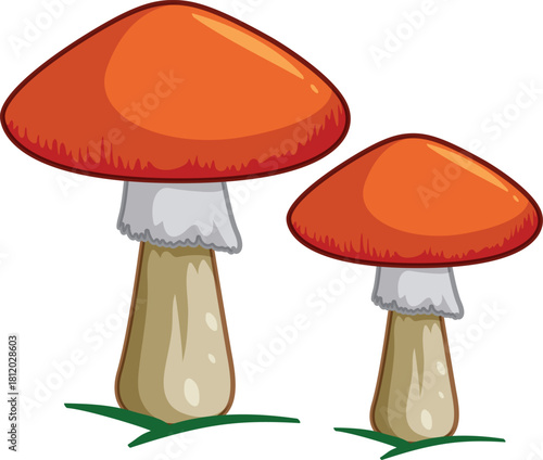 Mushroom vector 
