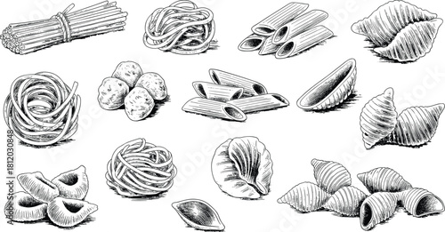 Detailed black and white sketch of various pasta types including penne, spaghetti, fusilli, shells, and tagliatelle for culinary design