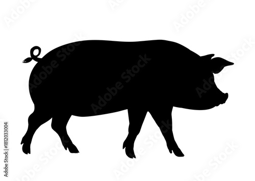 Domestic pig silhouette - vector illustration