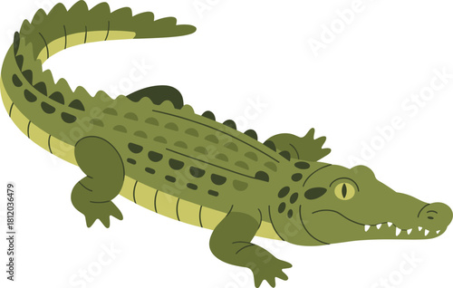 Flat minimalist illustration of crocodile in green color, wildlife animal design, reptile drawing, nature species, cartoon alligator concept
