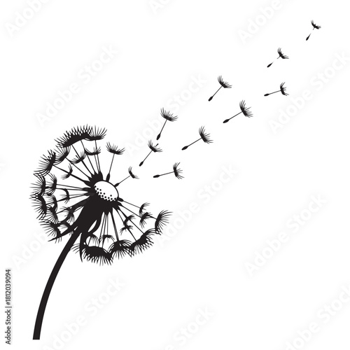 Black Silhouette of a Dandelion Blowing Seeds in the Wind on a White Background