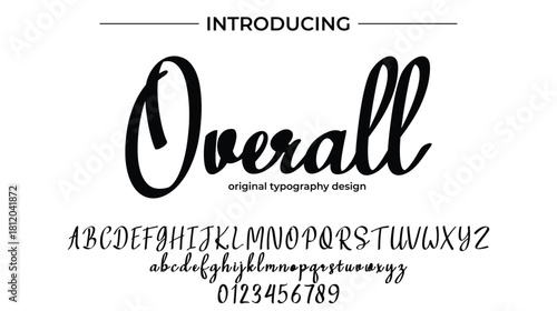 Overall - Elegant Script Font for Smooth Handwritten Design and Creative Typography