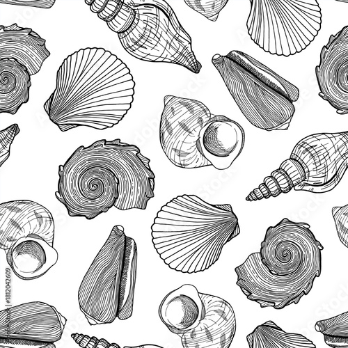 Black and white seashell pattern with intricate line art