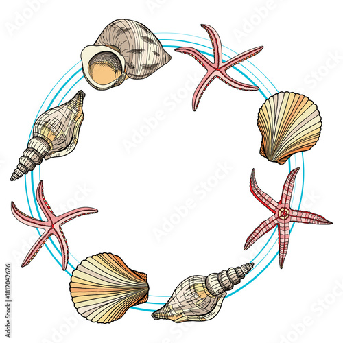 Circular frame of colorful seashells and starfish on white