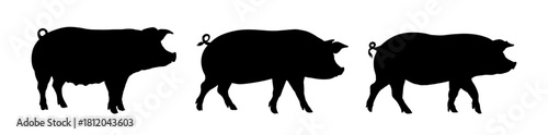 domestic pig silhouette set - vector illustration