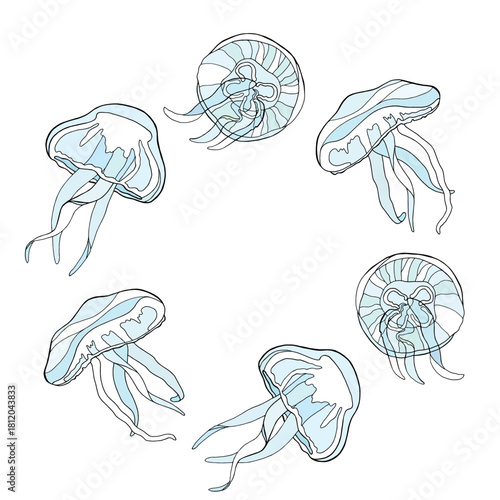 Six blue and white jellyfish arranged in a circle on a white background