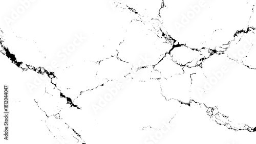 Distressed black and white overlay texture with abstract crack pattern details isolated on transparent background, Vector, illustration