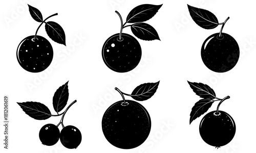 Illustration of six plum fruit arrangements with leaves in black and white sketch style graphic design