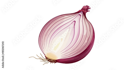 A half of a red onion with roots