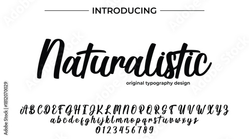 Naturalistic - Elegant Script Font for Smooth Handwritten Design and Creative Typography