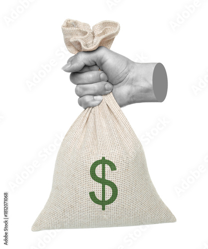 Hand holds a money bag, isolated on transparent background, business concept. Contemporary art design
