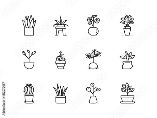 Ultra Minimalist Botanical Line Illustration Set For Modern Design Projects