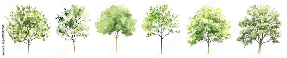 Fototapeta premium PNG Watercolor trees nature collection, element set on transparent background