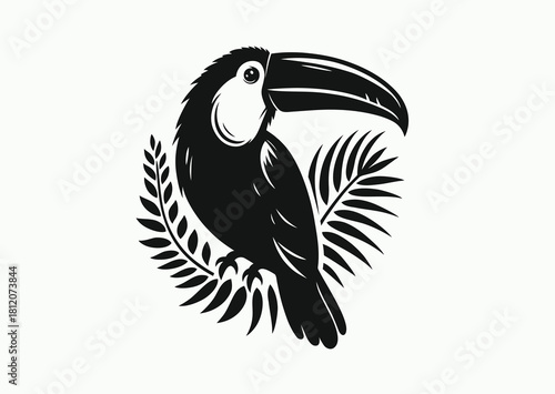 Toucan on the branches of tropical palm tree, black and white vector silhouette