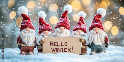 Festive Christmas gnomes with red hats and white beards standing in snow holding winter greeting sign “Hello Winter!”