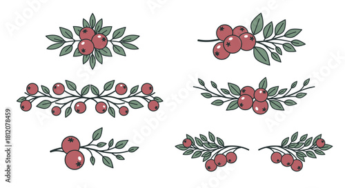 Set of Hand Drawn Berry Branches and Leaves.
