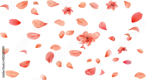 Delicate peach blossom petals and flowers float against a stark design