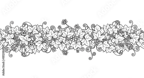 Detailed Ivy Border Illustration - Intricate Leaf and Vine Design.