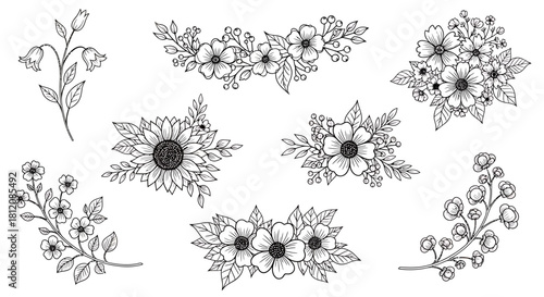 Elegant Floral Arrangements - A Collection of Botanical Illustrations.