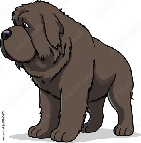 Cute cartoon a illustrator vector Newfoundland dog