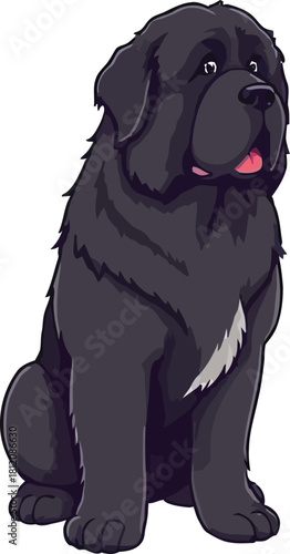 Cute cartoon a illustrator vector Newfoundland dog