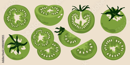 Green tomato set. Ripe tomatoes whole and sliced sections with seeds, cartoon fresh farm garden vegetables, organic vegetarian food product. Vector isolated collection