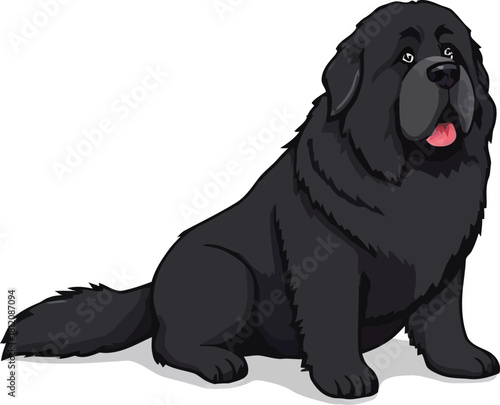 Cute cartoon a illustrator vector Newfoundland dog