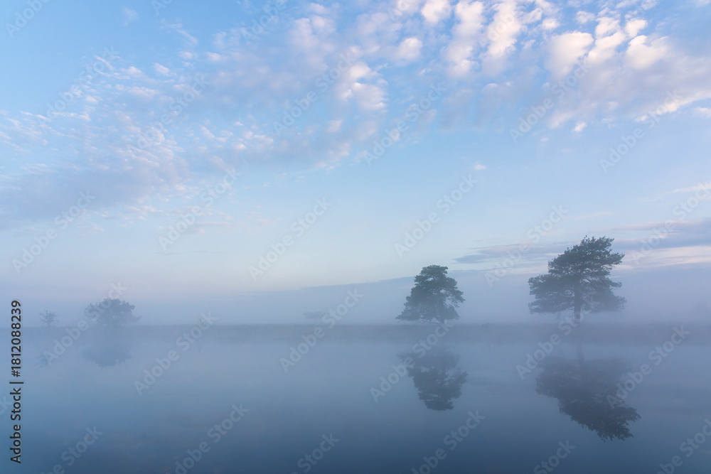 Fototapeta premium In the early morning a lake with a reflection of trees. The sky is blue with some clouds and the air is cool and damp. The scene is quiet and peaceful, with the lake providing a sense of solitude and 