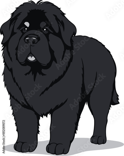 Cute cartoon a illustrator vector Newfoundland dog