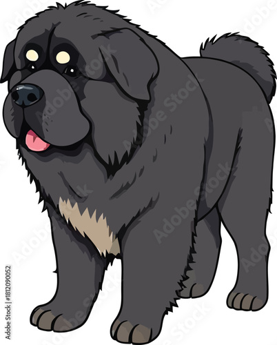 Cute cartoon a illustrator vector Newfoundland dog