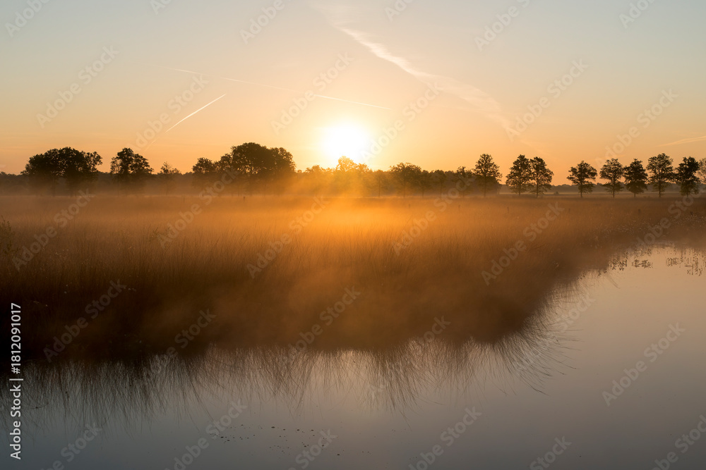 Fototapeta premium A sunrise over a lake in the Netherlands. The sky is orange and the sun is rising at the horizon.