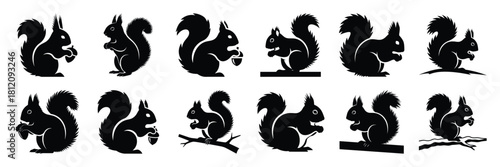 winter squirrel icon set. silhouette Vector illustration.