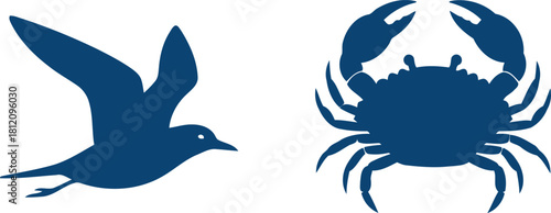 Vector illustration of marine life featuring a seabird in flight and a crab creating an ocean themed design element for creative projects