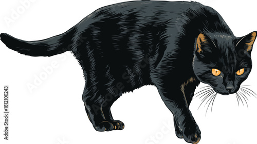 Sleek Black Cat Vector Art on White Background for Graphic Design Projects