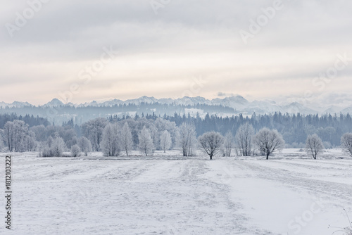 Fototapeta Naklejka Na Ścianę i Meble -  Frosty winter plain with distant mountain range