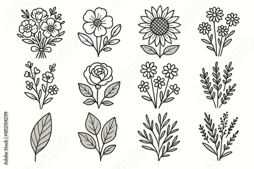 Leaf collection sunflower flowers grid seasonal wild creative floral icon vector herbs