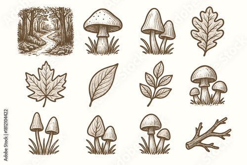 Doodle rustic icons forest mushrooms nature drawing leaves path vector icon branch