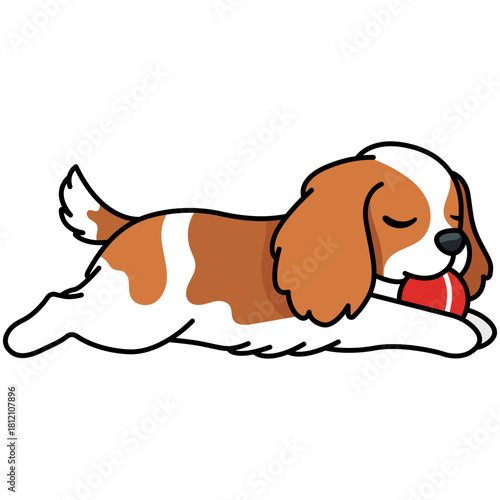 Cavalier Dog Lying with Ball