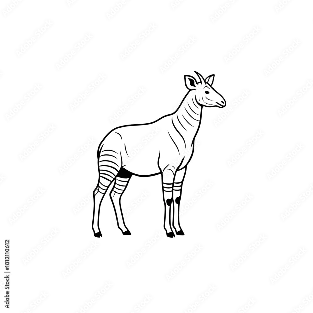 Fototapeta premium A minimalist black line drawing of an okapi isolated on transparent background