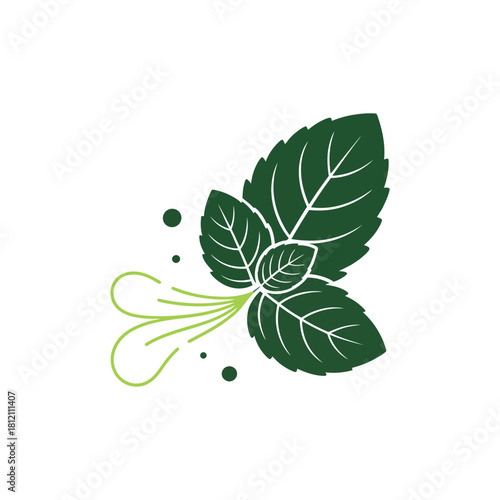 Mint leaves aroma fresh illustration