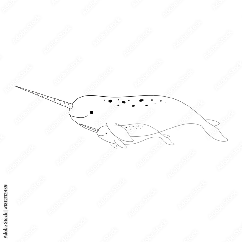 Fototapeta premium A minimalist black line drawing of a narwhal isolated on transparent background