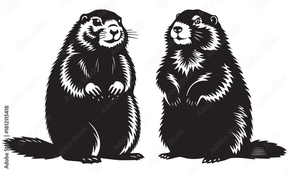 Fototapeta premium Groundhog Silhouette Vector | Marmot Animal Illustration & Wildlife Art Design