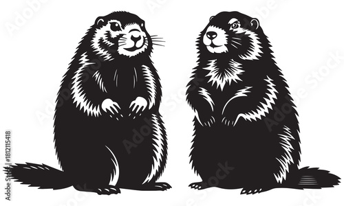 Groundhog Silhouette Vector | Marmot Animal Illustration & Wildlife Art Design