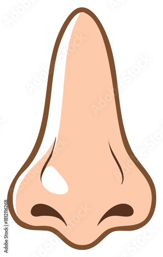 Human Nose Anatomy Cartoon Style Illustration. Body Part with Nostrils and Defined Outline.