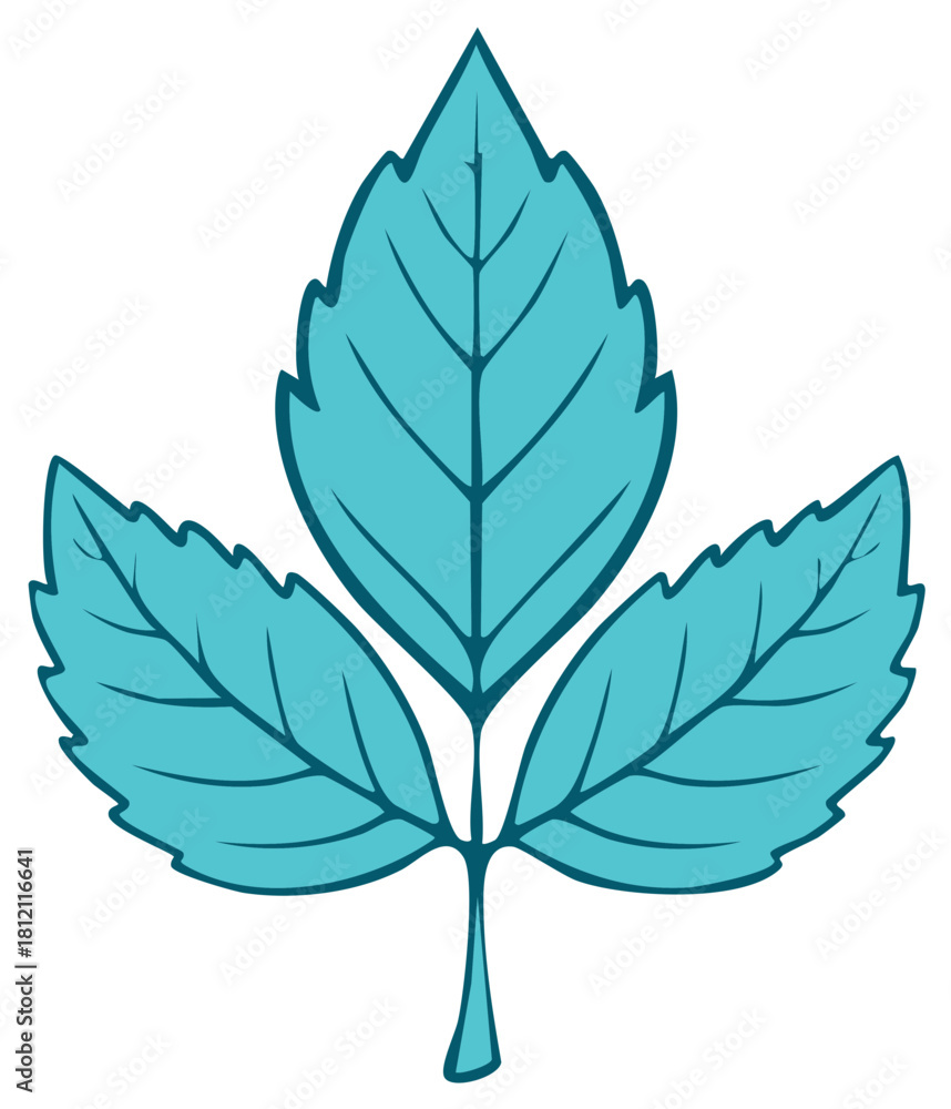 Obraz premium Turquoise Three Leaf Plant Botanical Illustration