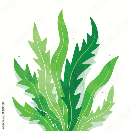 Illustrated green leafy plant with layered leaves.