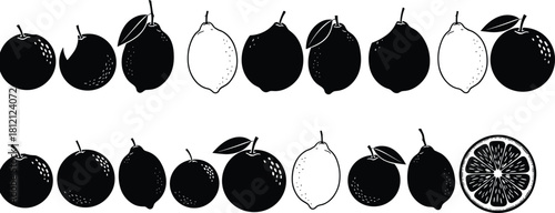 Citrus fruit silhouettes, black and white vector illustration, lemon, lime, orange icons, sliced fruit design, botanical theme, healthy food concept