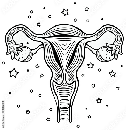 Anatomical illustration of the female reproductive system with playful stars and circles