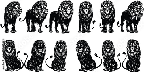 Set of detailed black and white lion vector illustrations showing standing and sitting poses, isolated on white background for logo design